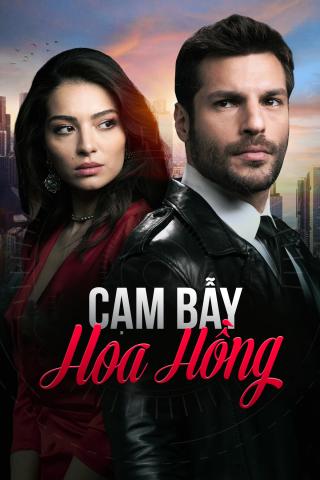 /uploads/images/cam-bay-hoa-hong-thumb.jpg